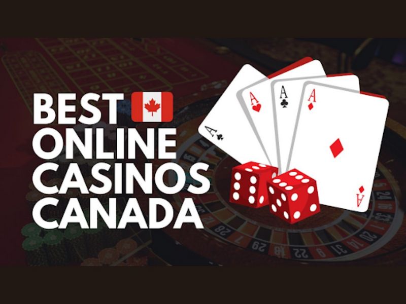 Best Online Casinos in Canada February 2026